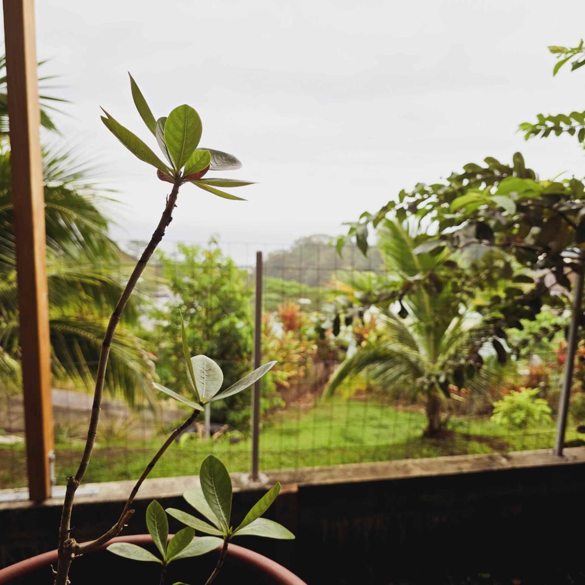 Fare Toahana, Accommodation With A Ocean View Faaa Bagian luar foto
